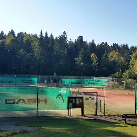 Landhaus-apartment Feldbergblick