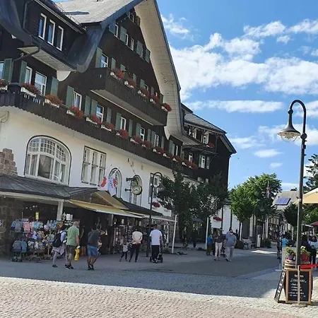 Landhaus-apartment Feldbergblick *
