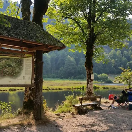 Appartement Landhaus-apartment Feldbergblick *