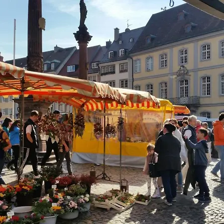 Landhaus-apartment Feldbergblick 아파트 상트마르겐