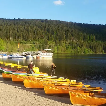 Landhaus-apartment Feldbergblick * 상트마르겐